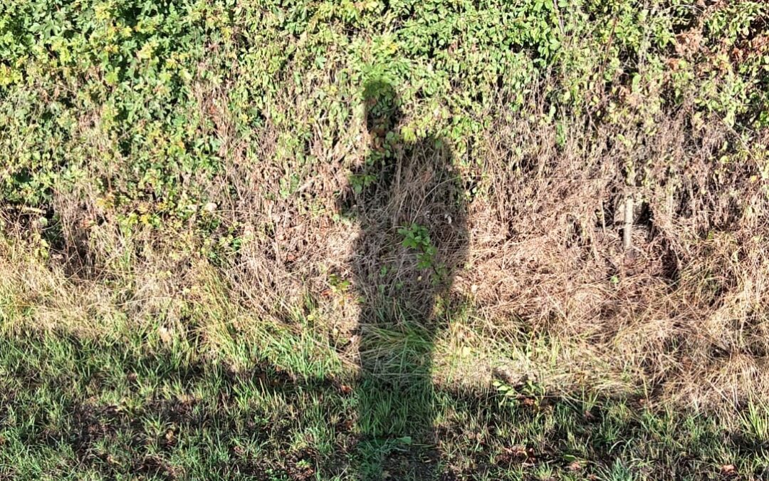 Mon Chemin de Compostelle sept – oct 2025  Jour 1