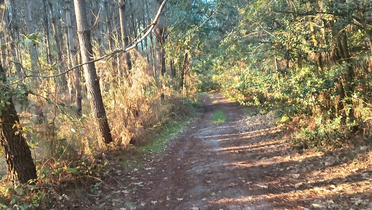 Mon chemin de Compostelle sept-oct 2025 Jour 5