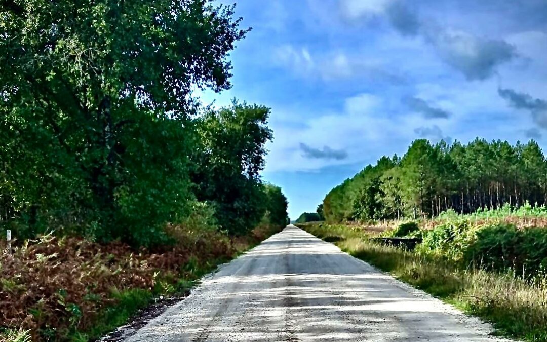 Mon chemin de Compostelle 2025 Jour 15