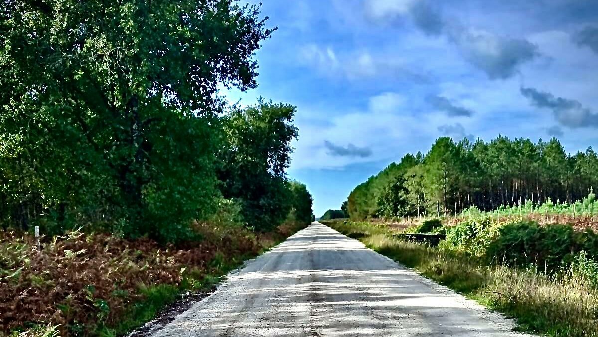 Mon chemin de Compostelle 2025 Jour 15