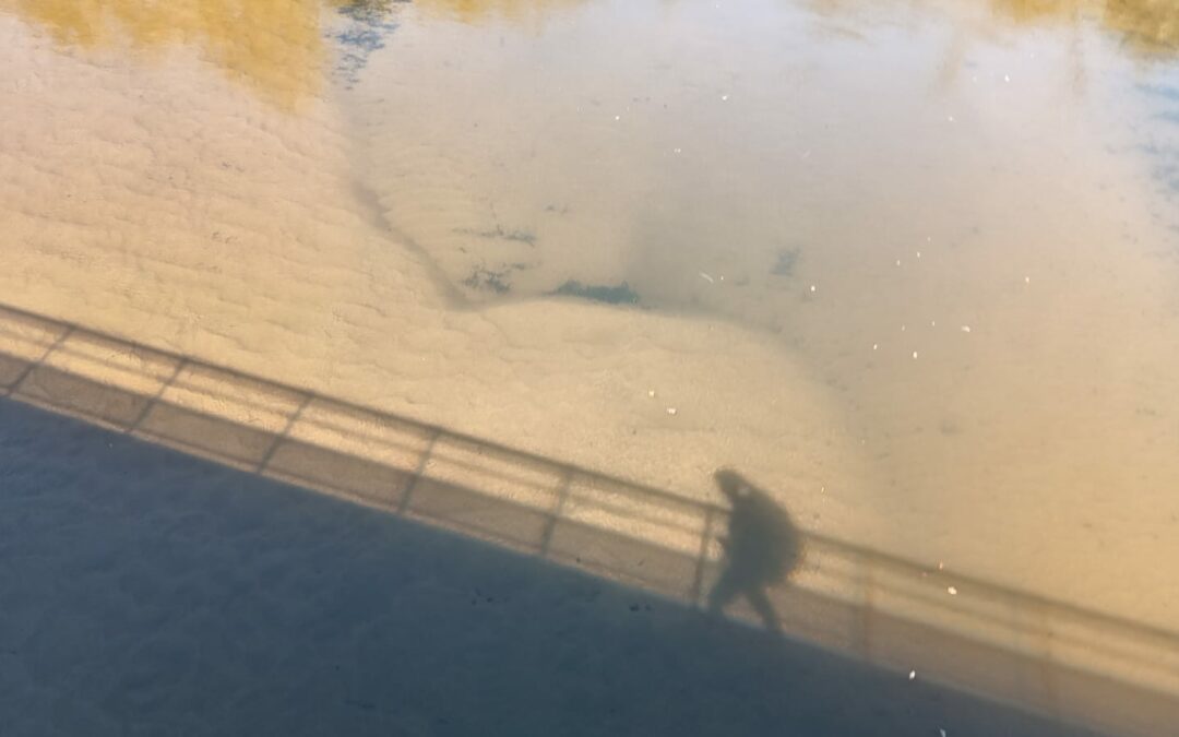 Mon chemin de Compostelle 2025 Jour 9