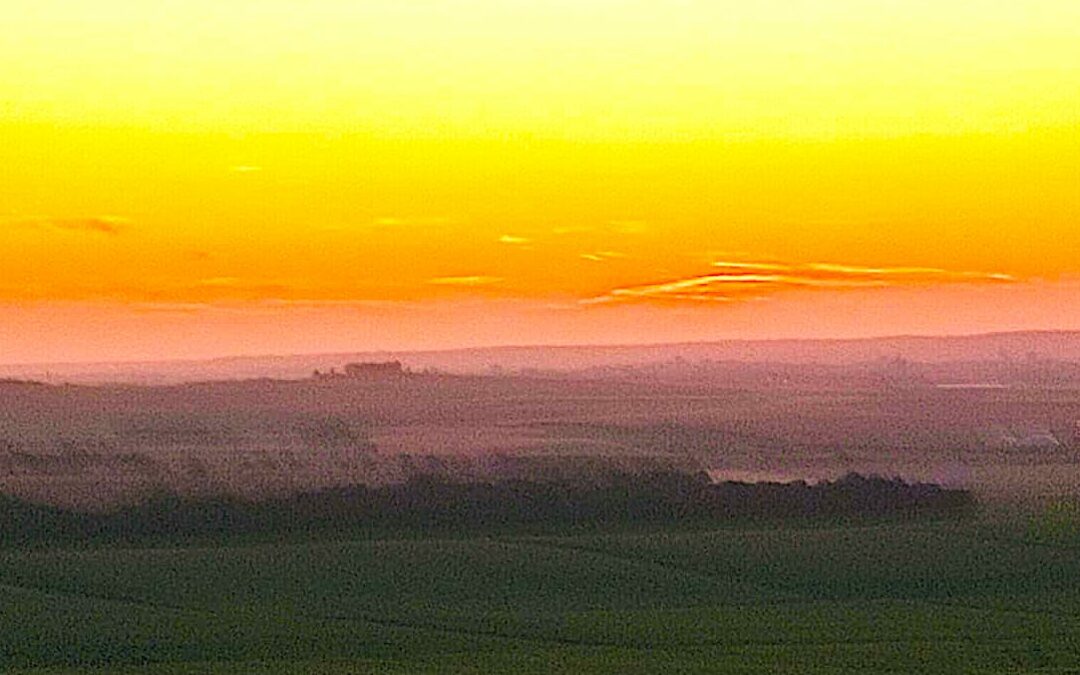 Les mystères de la Montagne de Reims 🌳