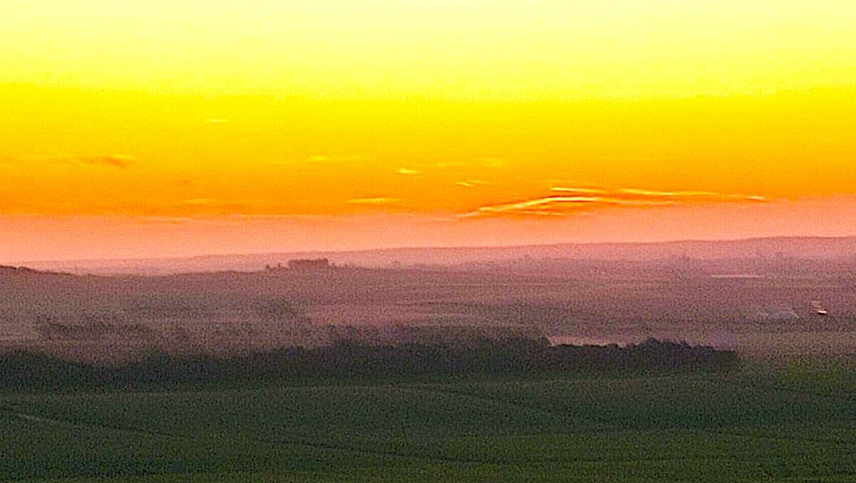 Les mystères de la Montagne de Reims 🌳