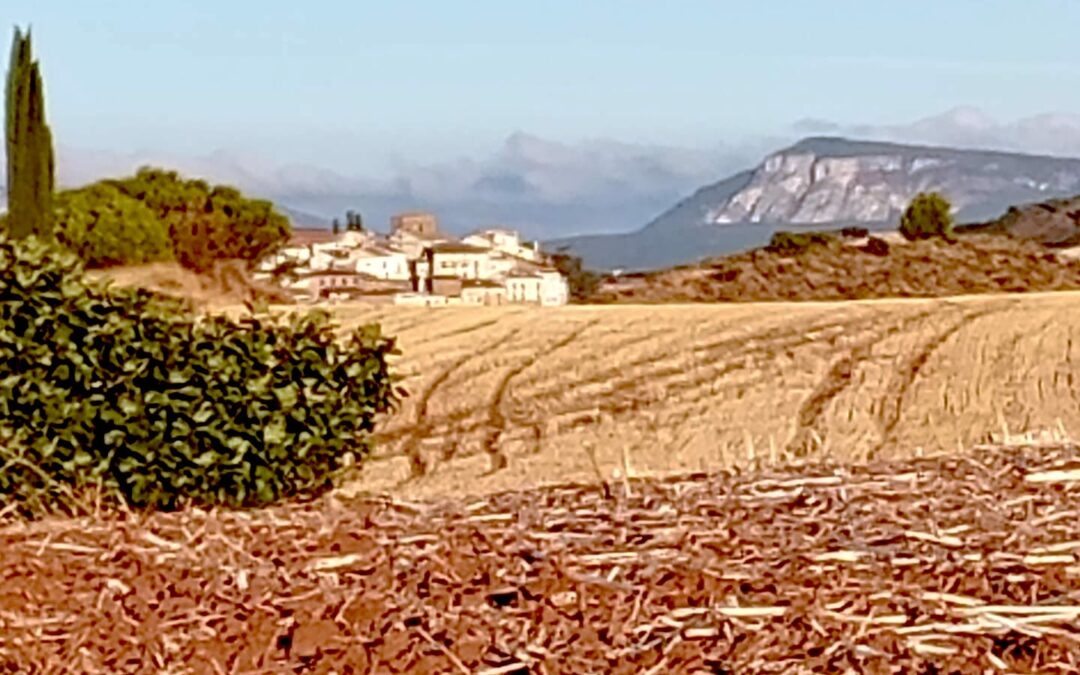 Mon chemin de Compostelle 2025 Etape 29 🥾🥾