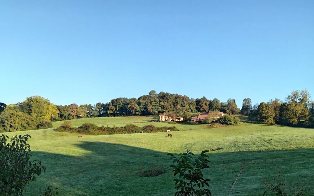 Mon chemin de Compostelle 2025 Jour 23