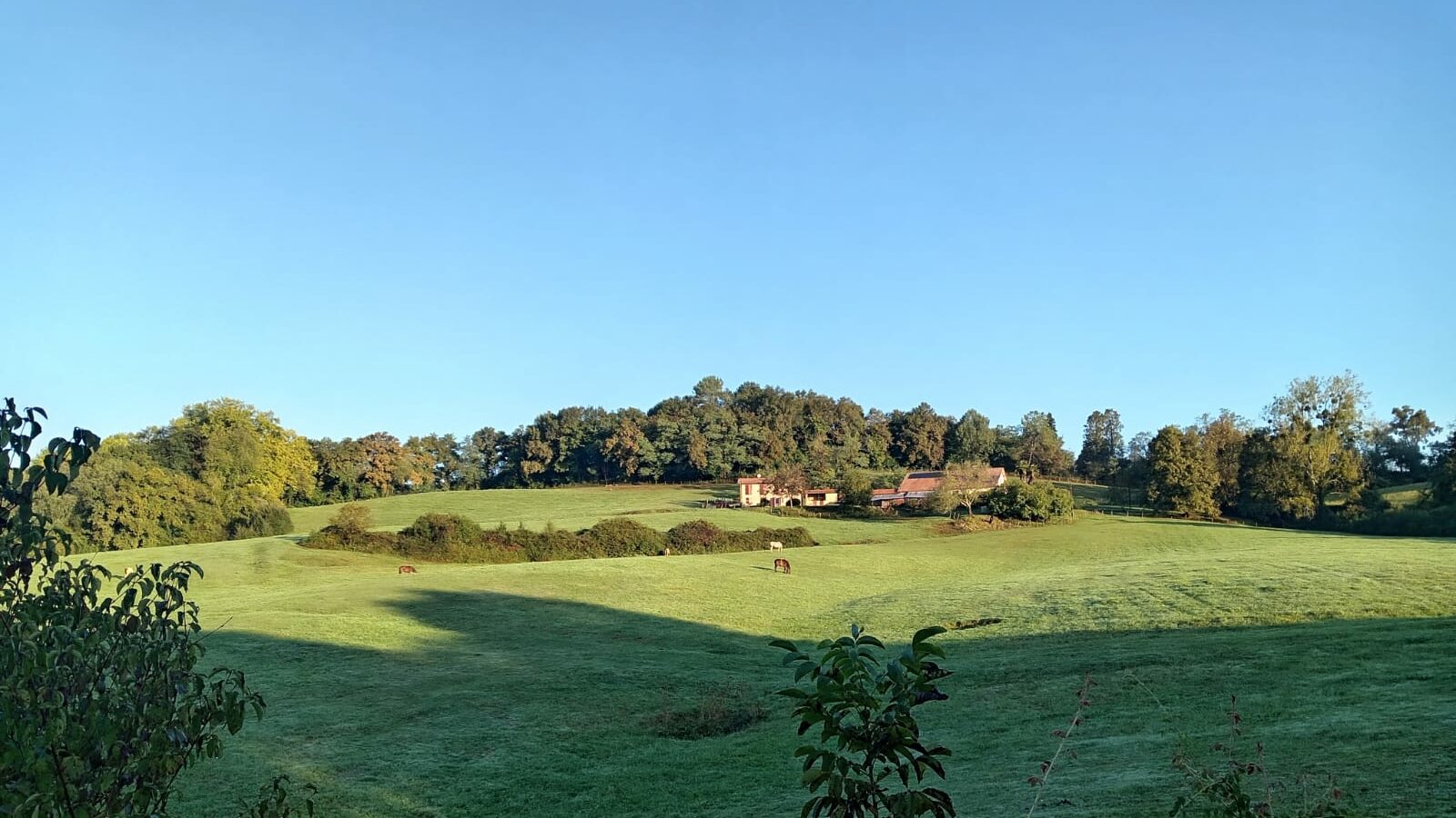 Mon chemin de Compostelle 2025 Jour 23