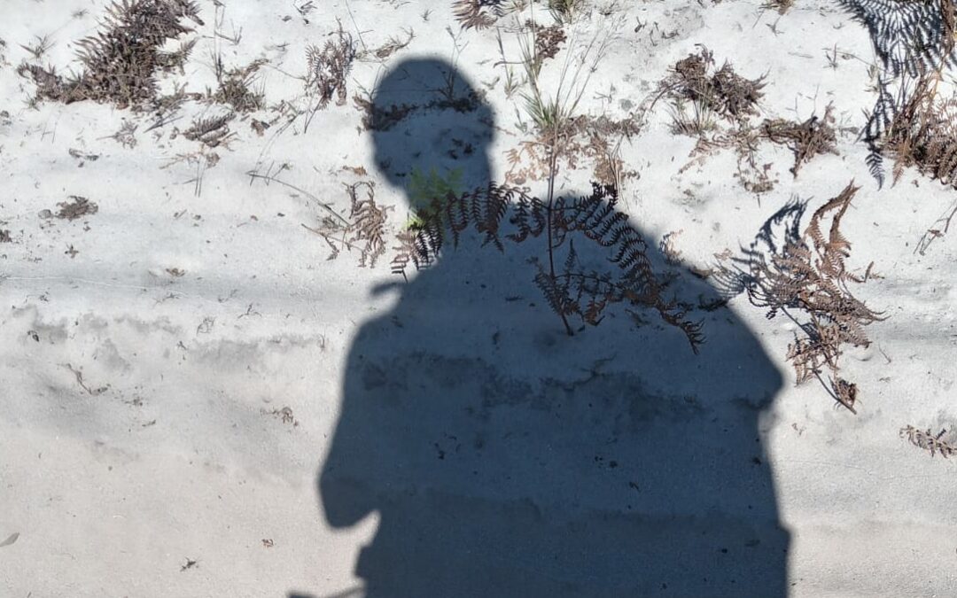 Mon chemin de Compostelle 2025 Jour 18