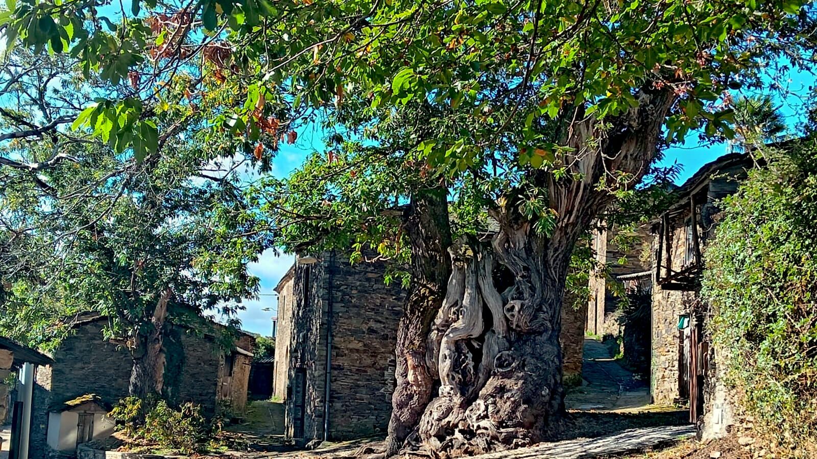Mon chemin de Compostelle 2025 Etape 52  🥾🥾