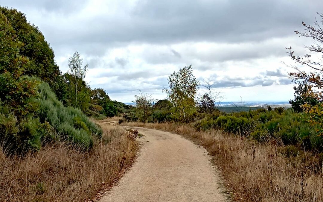 Mon chemin de Compostelle 2025 Etape 49 🥾🥾